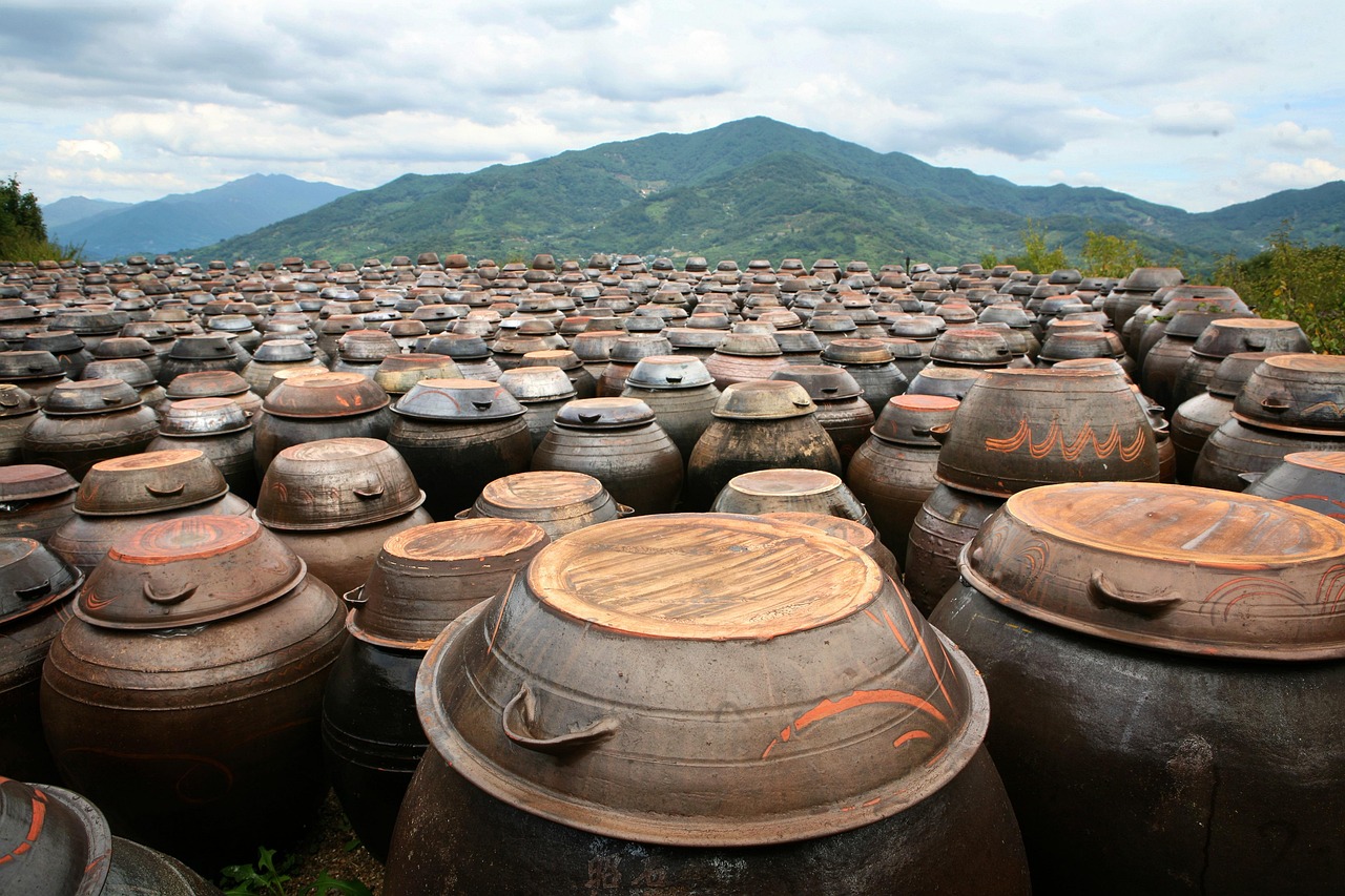 long poison, jangdokdae, jar, traditional, republic of korea, korea, plantation, korea, korea, korea, korea, korea